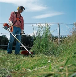 Brushcutters / Strimmer