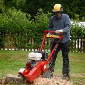 Stump Grinder