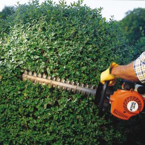 Hedge Trimmers