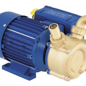 Transfer Pump